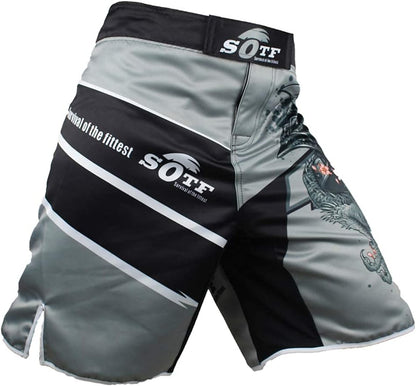 Boxing Shorts Men Muay Thai Fight Shorts MMA Shorts for Men BJJ